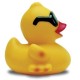 SewDucky