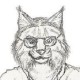 Lynx Kraaikamp's Gravatar