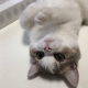 Profile picture of admin