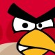 Bird Leader