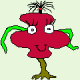 Douglas