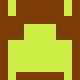 Healthy Homes Report