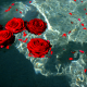 Avatar de dbeautifuldreams