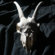 Unknown's avatar