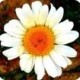 Unknown's avatar