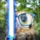 Avatar de Hibou