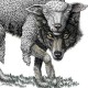 Wolf N. Shepherd's avatar
