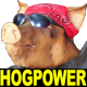 Coon's avatar