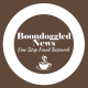 boondogglednews.com's avatar