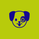John Collins's avatar
