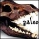 Paleo's avatar