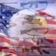 2ndAmendmentright.org's avatar