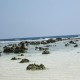 ব্যবহারকারীর আভাটার বা ছবি