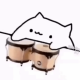 Unknown's avatar