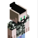mir4ge