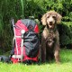 Avatar von Anwolf - Unterwegs auch mit Hund