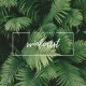 rvinforest's avatar