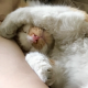 frazzledagain's avatar