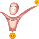 سارة الهويمل's avatar
