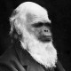 DarwinsMyth's avatar
