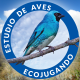Avatar de Proyecto Ecojugando