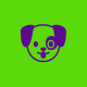 Avatar de JOÃO SEM RENDA