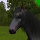 Ziya Tamesis's avatar