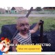 Аватар комментатора Сергей