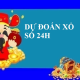 Hình đại diện người dùng