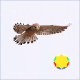 Falcon