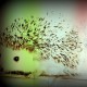 hedgehogsandsandwiches Avatar