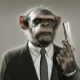 excusatio's avatar