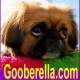 Cynthia Enuton's avatar