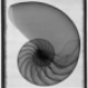 Amgine's avatar