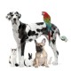 Animal Lovers' Blog Avatar