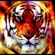tigremalasia's avatar