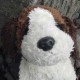 bigwowo's avatar
