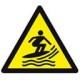 Surf4ever's avatar