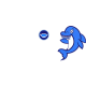 orthodontist near me's avatar
