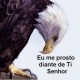 Avatar de Atravessando & recomeçando sempre....