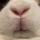 Avatar de Inconnu