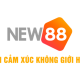 Hình đại diện người dùng