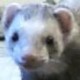 charlesfromva's avatar