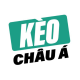 Hình đại diện người dùng