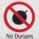 Tique avatar
