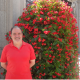Avatar de Evelio