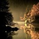 Chasing Suns's avatar