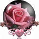 Bookish Lady's avatar