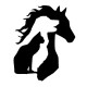 Animal Blog_pro's avatar