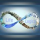 Life Logics's avatar